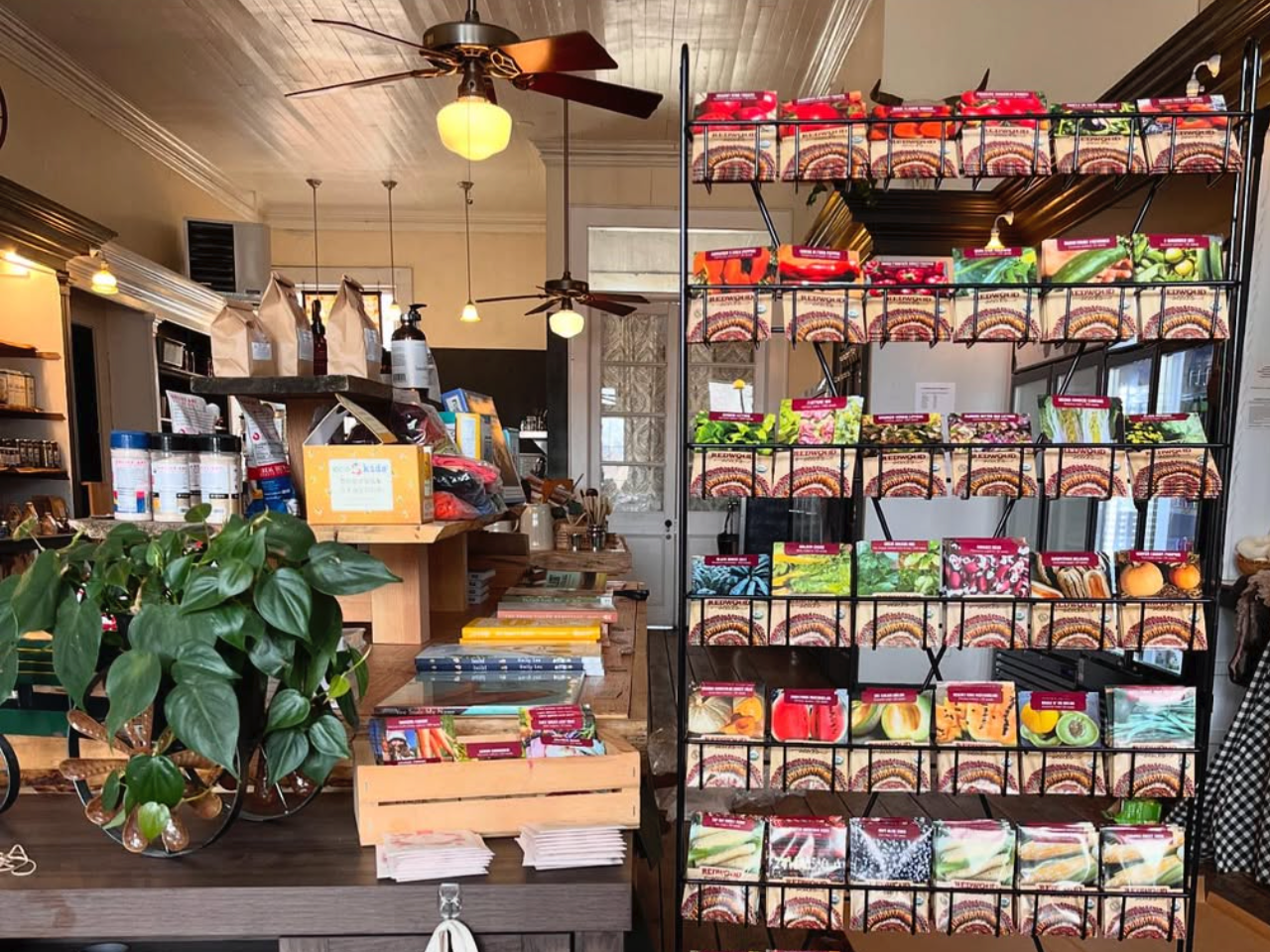 Interior of Valley Farm Store in Cedarville, California, showing a wooden counter, hanging plants, and a tall display rack filled with brightly-packaged garden seed packets